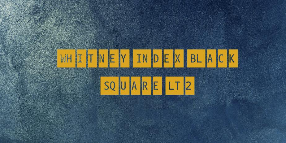 Fonte WhitneyIndexBlack SquareLt2