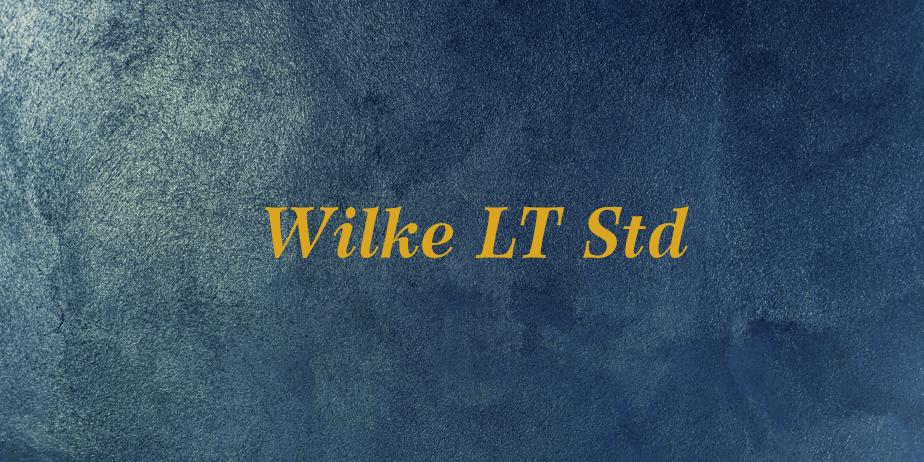 Fonte Wilke LT Std