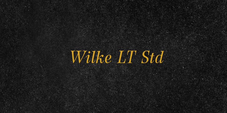 Fonte Wilke LT Std